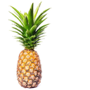 ANANASA