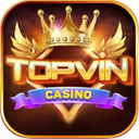 topvinuscom