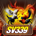 dagasv339cc