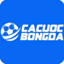 cacuocbongdavin