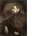 Alogo