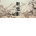 PanShiBo
